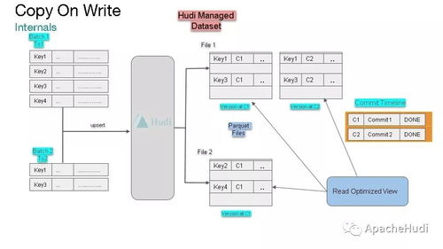 Apache Hudi 統一批處理和近實時分析的存儲與服務引擎